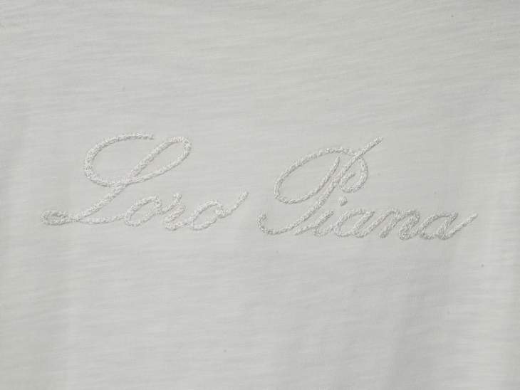 Loro Piana T Shirts Short _SKULoroPianaM-2XLaztxQ748737